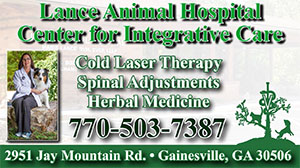 Lance Animal Hospital